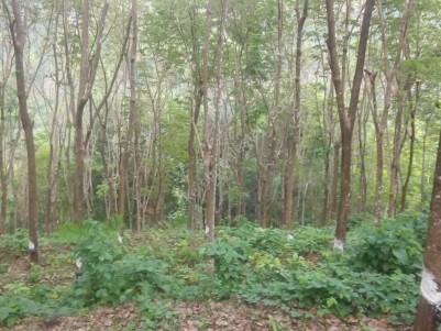 1 Acre Rubber plantation for sale near Chittar Town, Meenkuzhi, Pathanamthitta