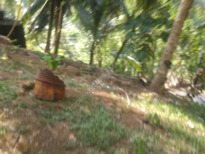 10 Cent land for sale near Chittar Market, Pathanamthitta