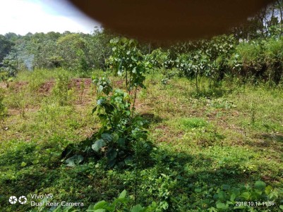 25 Cents Residential land for sale at Mundiyapally Kaviyoor, Pathanamthitta