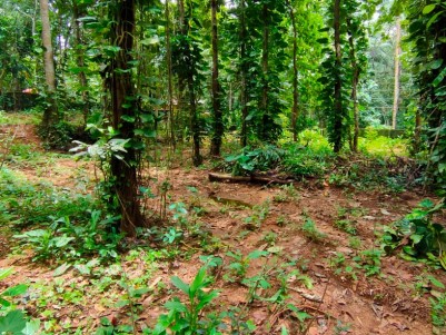 23 Cents Residential land for sale at Kozhencherry, Pathanamthitta