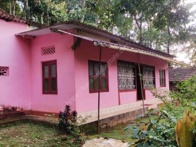 4 BHK House for sale at Adimaly, Idukki