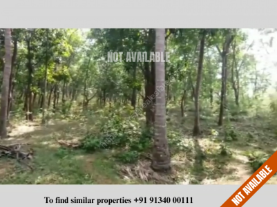 22 Acre Rubber plantation for sale at Vadakencherry, Palakkad