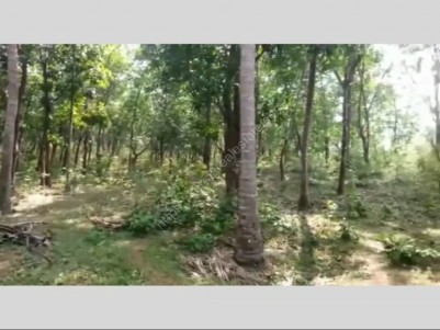 22 Acre Rubber plantation for sale at Vadakencherry, Palakkad