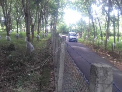 10 Acres for sale at Panjal Village, Near Kalamandalam Thrissur 