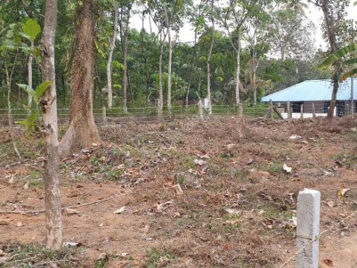 Residential Land for Sale at Mundapuzha,Ranni,Pathanamthitta