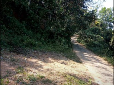 Land for Sale at Elavumthitta, Pathanamthitta