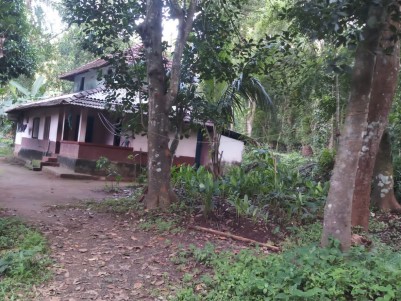 32 Cents with Old House for sale at Chelakkara, Thrissur