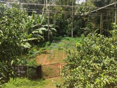 Residential Plot for sale on Aloor Bypass Road, Kodakara, Thrissur