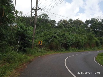 100 Cents plot for sale at Payyanur, Kannur