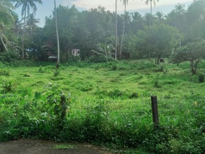 50 Cents of Residential Land for sale at Puliyanoor, Pala, Kottayam