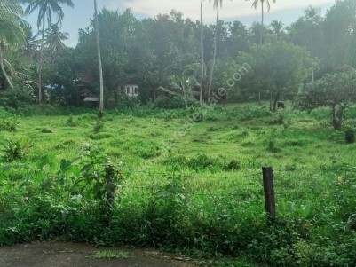 50 Cents of Residential Land for sale at Puliyanoor, Pala, Kottayam