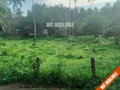 50 Cents of Residential Land for sale at Puliyanoor, Pala, Kottayam
