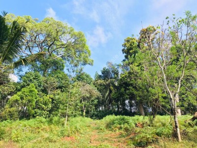 39 Cents for sale Near Munnar, Anachal, Idukki