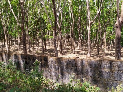 One Plus Acre of Rubber Plantation and Land for Sale near  Kottarakara Quilon, Kollam