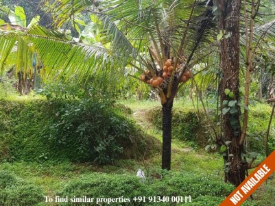 Prime Residential Land For Sale at  Kolenchery, Kochi