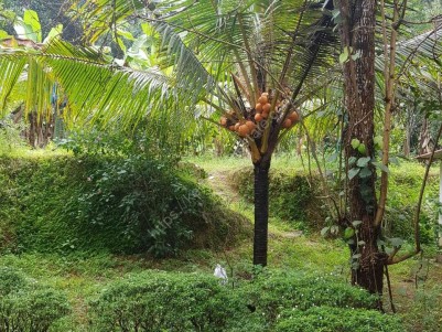 Prime Residential Land For Sale at  Kolenchery, Kochi