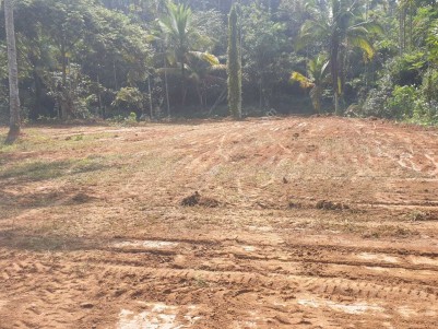 39 Cents of Commercial Land for sale at Moolankaavu, Sultan Bathery, Wayanad