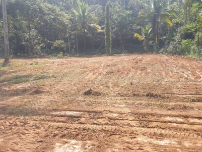 39 Cents of Commercial Land for sale at Moolankaavu, Sultan Bathery, Wayanad