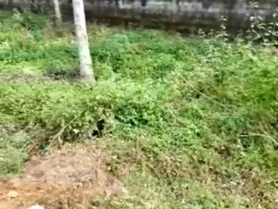 10 Cents of Residential Land for Sale at Neyyattinkara, Trivandrum