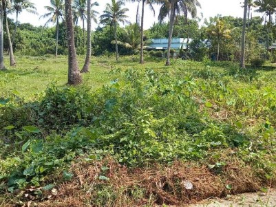 40 Cents of Residential Land for Sale at Koonammavu, Ernakulam