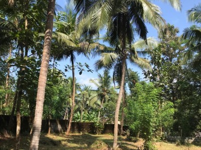 Prime Residential Land for Sale at Palappuram, Near Ottapalam, Palakkad