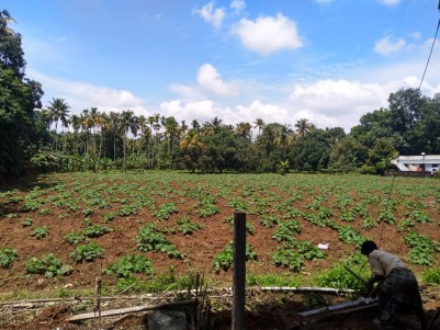 2.15 Acres of Residential Land for Sale at Chalakudy, Thrissur