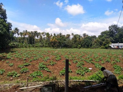 2.15 Acres of Residential Land for Sale at Chalakudy, Thrissur