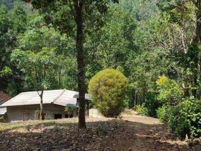 65 Cents of Residential Land for Sale near Munnar, Idukki