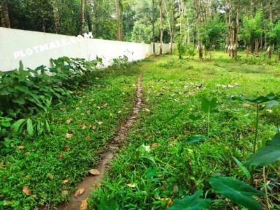Private Land Sale In Vattaparambu, House Plot near Elavoor,Angamaly,Puliyanam