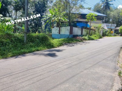 20 Cent  Residential Land For Sale in Malayattoor,Ernakulam