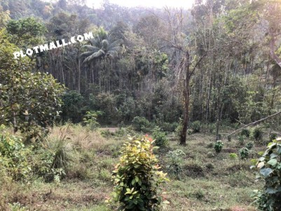 Private Land for Sale at Kavumannam, Wayanad