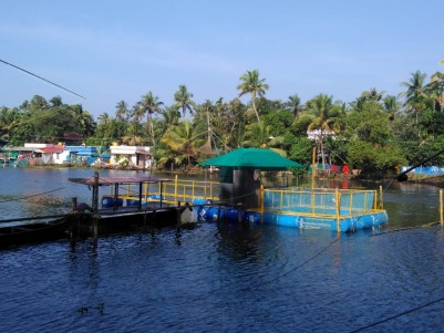 29 Cents Waterfront Land for Sale at Chennoor, Varappuzha
