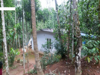 90 Cents of Land with Small House for Sale at Cheeral, Wayanad