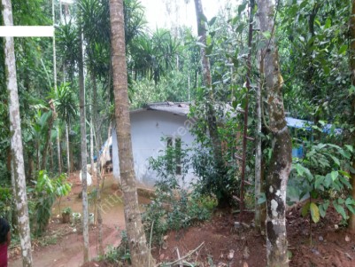 90 Cents of Land with Small House for Sale at Cheeral, Wayanad