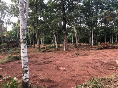 1 Acres ( approx) of Prime Residential Land for Sale at Kizhuthani, Thrissur