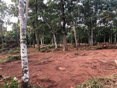 1 Acres ( approx) of Prime Residential Land for Sale at Kizhuthani, Thrissur