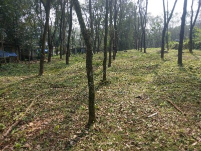 55 Cents of Rubber Plantation for Sale at Marangattupilly, Kottayam