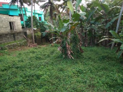 15 Cents of Commercial cum Residential Land for Sale Near Karakonam Medical College, Trivandrum