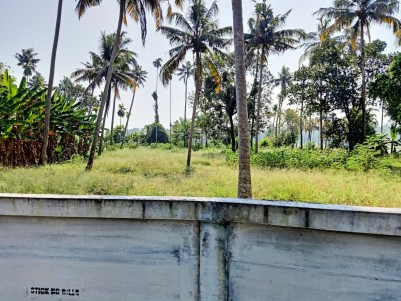 45.59 Cents of Land for Sale at Mukundapuram Taluk,Nellayi,Thrissur