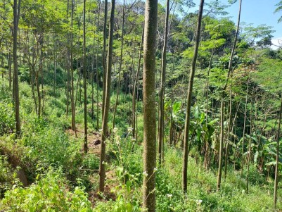 4.8 Acres of Farmland for Sale at Seethathode Village, Pathanamthitta