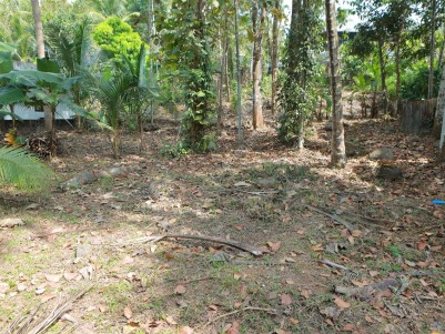 46 Cents of Land for Sale at Chunkappara, Pathanamthitta