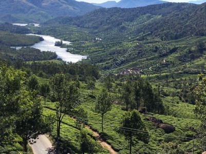 1.21 Acres of Pattayam Land and Cottage for Sale at Chinnakanal, Munnar, Idukki