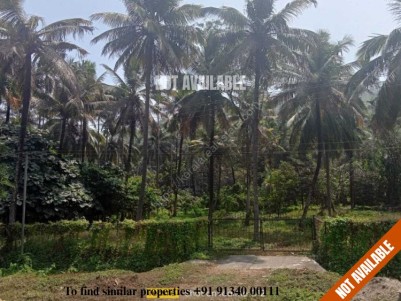 Commercial property in NH 544 for Sale at Mannuthy, Thrissur