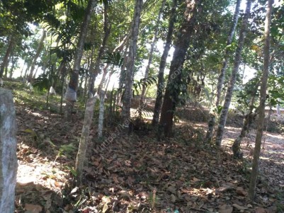 50 Cents of Land for Sale at Chakalamukh, Koduman, Pathanamthitta 