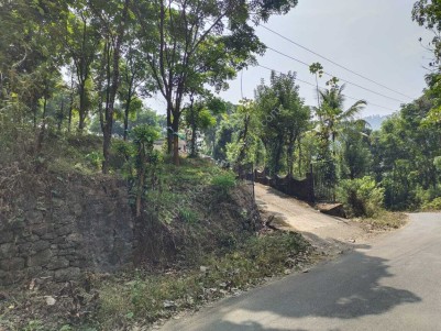 7.73 Acres of Plantation with 2000 Sq Ft House for Sale near  Adimaly,Idukki