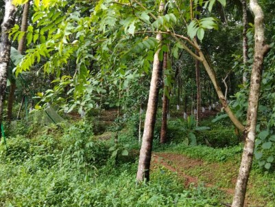 Residential plot for sale at Uruvachal, Kannur