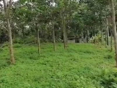 5 Acres of Prime Residential Land suitable for Villa Project for Sale at Thodupuzha, Idukki