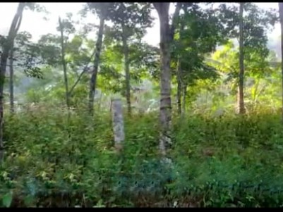 Residential Plots for Sale near Attractive Tourist Spots at Archal, Kollam