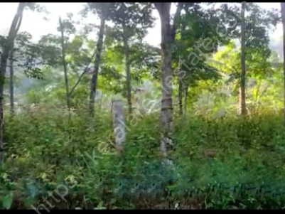 Residential Plots for Sale near Attractive Tourist Spots at Archal, Kollam