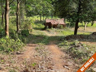 26 Cents of  land for Sale near Peringala - Kaaninad road, Ernakulam